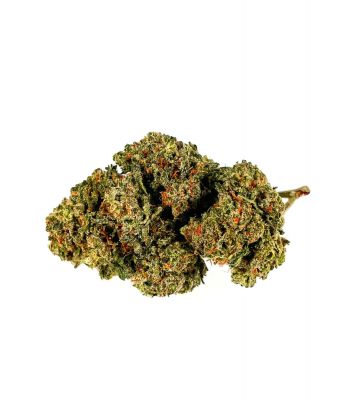 Cannabisblüten Gelato 1g